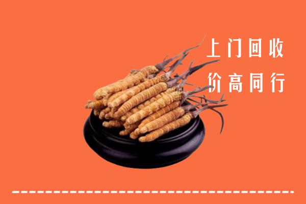 高价求购：泰安回收散虫草