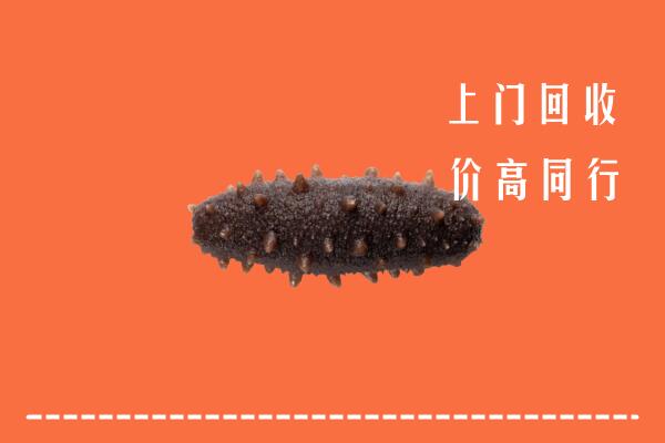 高价求购：泰安回收海参