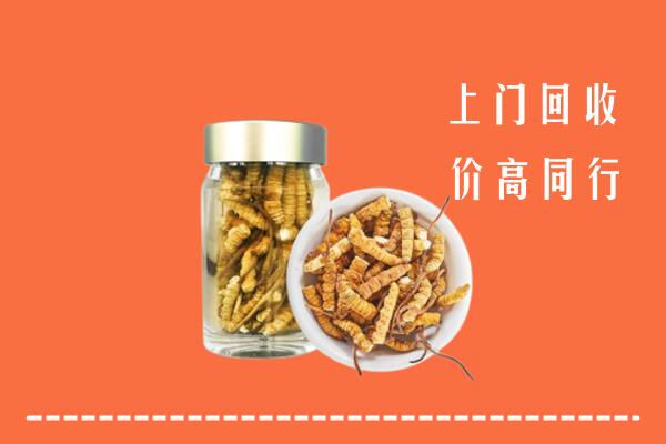 泰安回收冬虫夏草